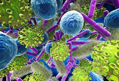 Your hands may be the easiest vehicle for germs to enter your body.