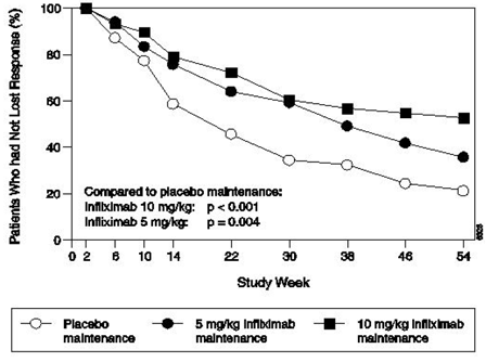 Kaplan-Meier estimate of the proportion of patients who had not lost response through Week 54 - Illustration