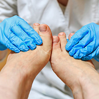 Toenails can regrow normally following ingrown toenail surgery.