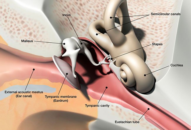 You can clear blocked eustachian tubes with medications, home remedies, and surgery. However, eustachian tube treatment often isn't needed as a blocked tube usually gets better on its own. You can clear blocked eustachian tubes with medications, home remedies, and surgery. However, eustachian tube treatment often isn't needed as a blocked tube usually gets better on its own.