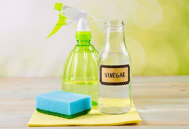 Both vinegar and bleach are practical and powerful to kill mold growth around the house. Both vinegar and bleach are practical and powerful to kill mold growth around the house.
