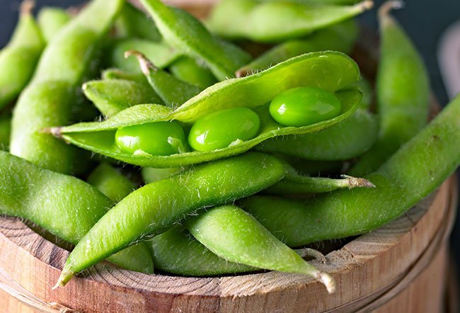 is edamame good or bad for you is edamame good or bad for you