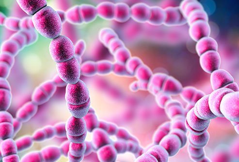 Strep throat is caused by a bacteria. 