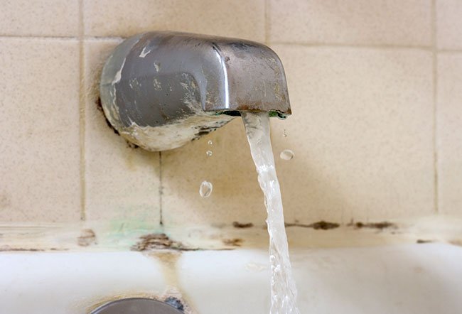Mold in your shower can cause annoying symptoms and health problems in people who are sensitive to it. The color of the mold doesn't have any connection to how dangerous it is. Mold in your shower can cause annoying symptoms and health problems in people who are sensitive to it. The color of the mold doesn't have any connection to how dangerous it is.