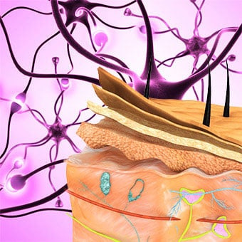 Skin is the body's largest organ, and itching can be a sign something isn't right.