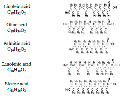 Fatty acid - Structural Formula Illustration Fatty acid - Structural Formula Illustration
