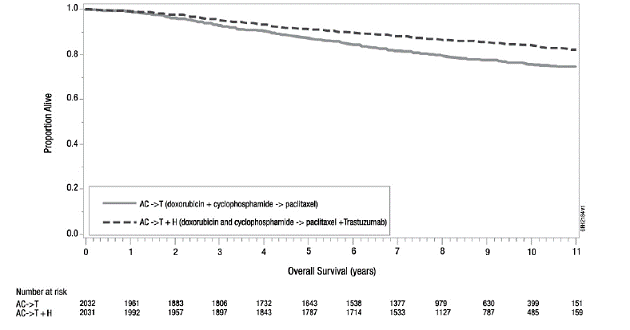 Duration of Overall Survival in Patients with Adjuvant Treatment of Breast Cancer - Illustration Duration of Overall Survival in Patients with Adjuvant Treatment of Breast Cancer - Illustration