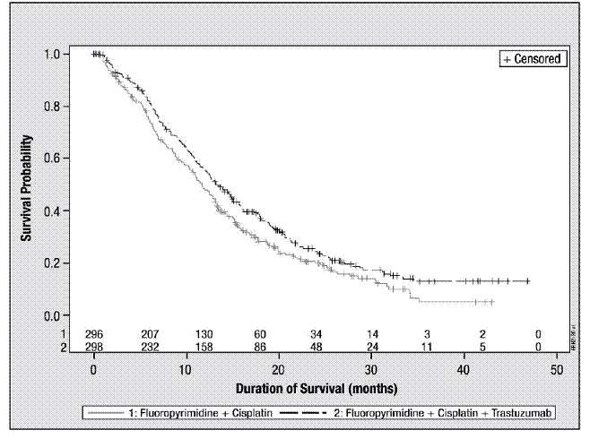 Updated Overall Survival in Patients with Metastatic
Gastric Cancer - Illustration Updated Overall Survival in Patients with Metastatic
Gastric Cancer - Illustration