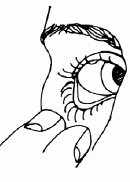Pull the lid away from the eyeball and create a pocket between the white part of the eyeball and the lid - Illustration