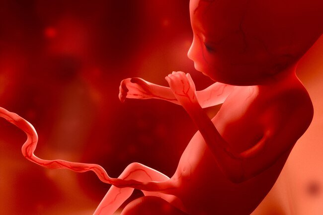 Some babies show a preference for which thumb to suck already in the womb.