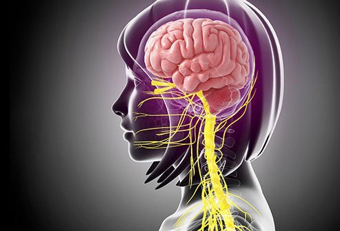 While this type of cancer doesn't start in your central nervous system, at least half the time it ends up spreading there.
