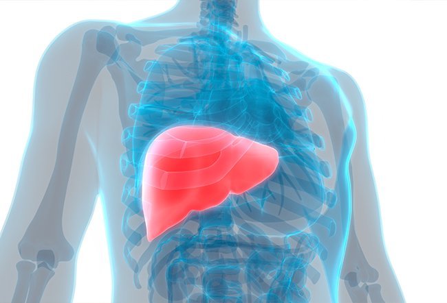 Transaminitis