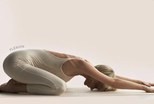 Flexion and extension exercises are commonly used to prevent low back pain.