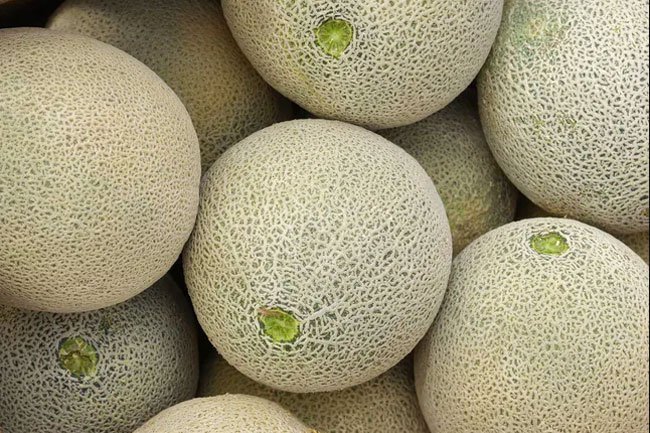 Cantaloupe supplies vitamins A and C and folate and it is relatively low in carbs.