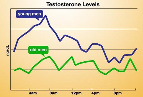 A chart of daily testosterone levels.
