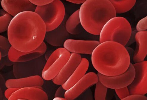 An illustration of red blood cells.