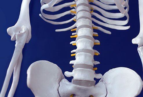 A lumbar facetectomy is the removal of the facet joints from one or more vertebrae in the lower back. A lumbar facetectomy is the removal of the facet joints from one or more vertebrae in the lower back.