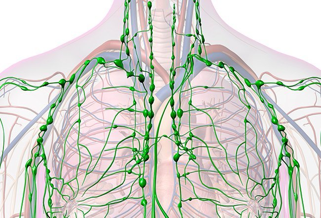 what is adenitis what is adenitis
