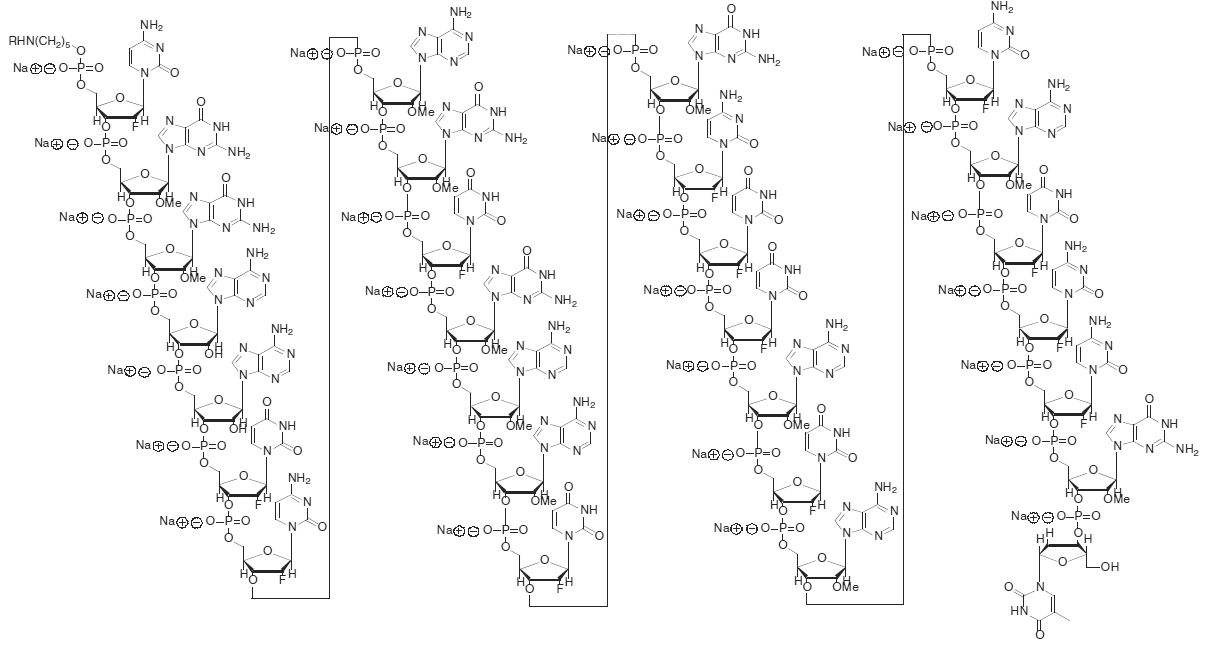 MACUGEN® (pegaptanib sodium)  Structural Formula Illustration