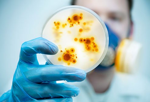 All combined, infectious diseases cost Americans more than $40 billion every year.