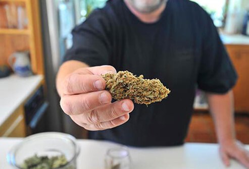 Various lines of research into the health effects of marijuana are ongoing. 