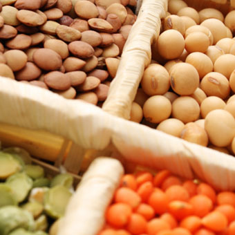 Soybeans, chickpeas, and lentils are examples of plant estrogens.