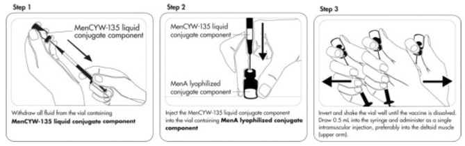 Cleanse both vial stoppers. Using a
sterile needle and sterile graduated syringe, withdraw the entire contents of
Vial 1 containing the MenCYW-135 liquid conjugate component while slightly tilting
the vial - Illustration Cleanse both vial stoppers. Using a
sterile needle and sterile graduated syringe, withdraw the entire contents of
Vial 1 containing the MenCYW-135 liquid conjugate component while slightly tilting
the vial - Illustration
