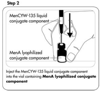 Slowly transfer entire contents of
the syringe into Vial 2 containing the MenA lyophilized conjugate component
(powder) - Illustration Slowly transfer entire contents of
the syringe into Vial 2 containing the MenA lyophilized conjugate component
(powder) - Illustration