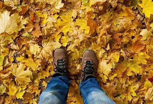 Uncut fields and piles of damp leaves are prime places for mold.