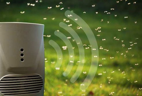 These gadgets send out high-frequency sound that's meant to drive away pests.