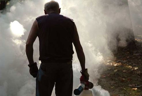 Foggers and sprays can temporarily banish mosquitoes from outdoor areas -- foggers can last for hours, sprays for days.
