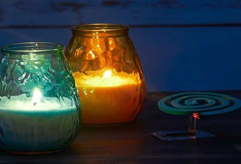 Citronella is a common ingredient in products made to repel mosquitoes.
