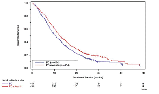 Kaplan-Meier Curves for Duration of Survival
in First-Line Non-Squamous Non-Small Cell Lung Cancer in Study E4599 - Illustration Kaplan-Meier Curves for Duration of Survival
in First-Line Non-Squamous Non-Small Cell Lung Cancer in Study E4599 - Illustration