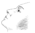 ALOCRIL®(nedocromil sodium ophthalmic solution) Figure 3 Illustration ALOCRIL®(nedocromil sodium ophthalmic solution) Figure 3 Illustration