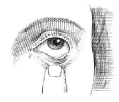 ALOCRIL®(nedocromil sodium ophthalmic solution) Figure 4 Illustration ALOCRIL®(nedocromil sodium ophthalmic solution) Figure 4 Illustration