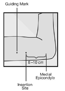 Markings - Illustration Markings - Illustration