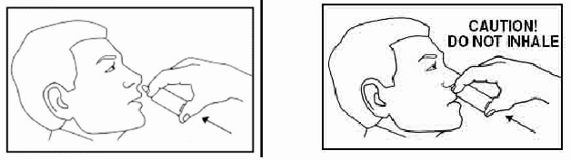 Follow Directions - Illustration