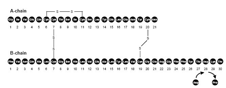 NOVOLOG® (insulin aspart) Structural Formula Illustration