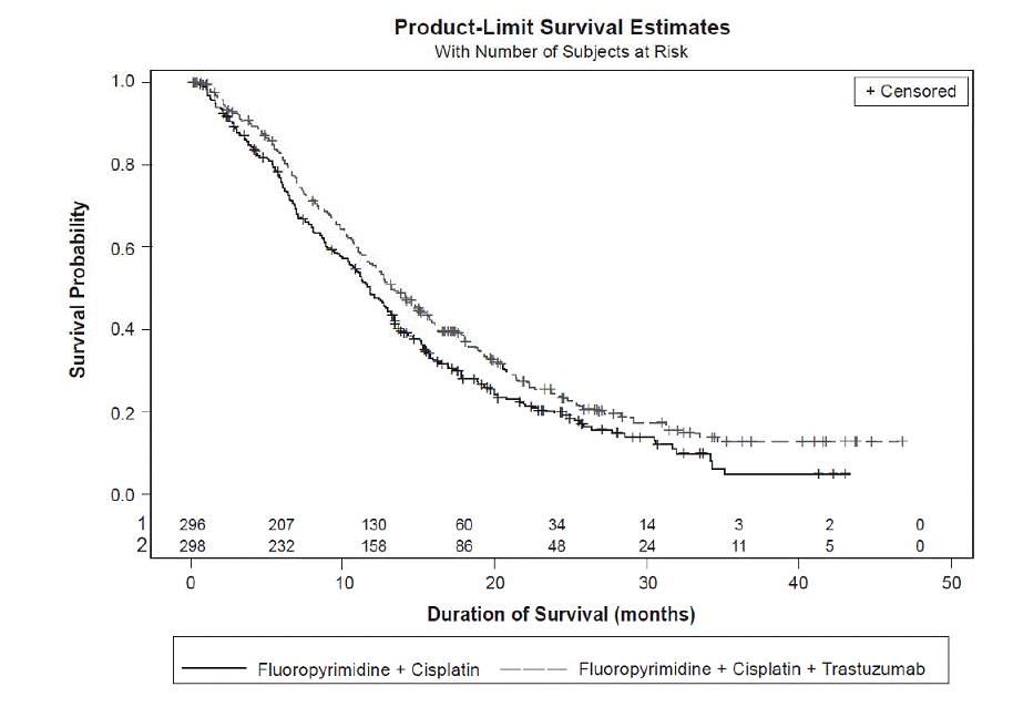 Updated Overall Survival in Patients with
Metastatic Gastric Cancer  - Illustration