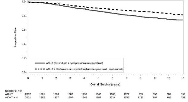Duration of Overall Survival in Patients
with Adjuvant Treatment of Breast Cancer - Illustration Duration of Overall Survival in Patients
with Adjuvant Treatment of Breast Cancer - Illustration