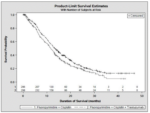 Updated Overall Survival in Patients with
Metastatic Gastric Cancer - Illustration Updated Overall Survival in Patients with
Metastatic Gastric Cancer - Illustration