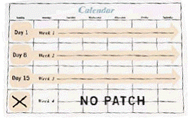 ORTHO EVRA application calender - Illustration