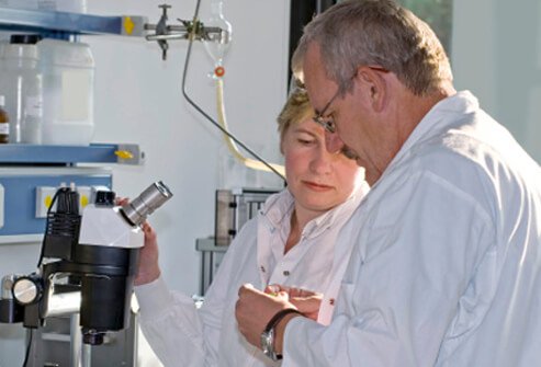 Scientists in a lab produce biological response modifiers (BRMs) for biological cancer treatment.