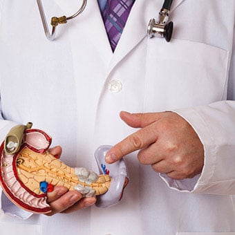 A doctor points to a model of the pancreas.