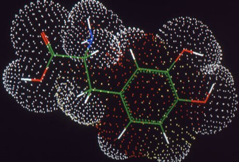 Levodopa, in the form of carbidopa and levodopa combined in a single tablet, has been the most effective medication to reduce or temporarily stop Parkinson's disease symptoms.