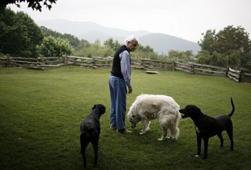 Again, since rigidity is a common symptom, muscle groups in affected extremities don't relax so crampy pain may occur.