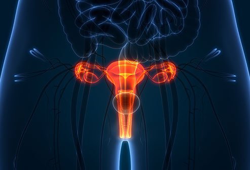 Pelvic pain is common in women and can have a variety of causes. Some of the possibilites include inflammation, irritable bowel syndrome (IBS), and endometriosis. 