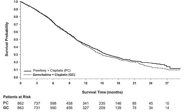 Kaplan-Meier
Curves for Overall Survival in Study JMDB - Illustration Kaplan-Meier
Curves for Overall Survival in Study JMDB - Illustration