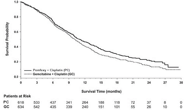 Kaplan-Meier Curves for Overall Survival in
Non-Squamous NSCLC in Study JMDB - Illustration Kaplan-Meier Curves for Overall Survival in
Non-Squamous NSCLC in Study JMDB - Illustration