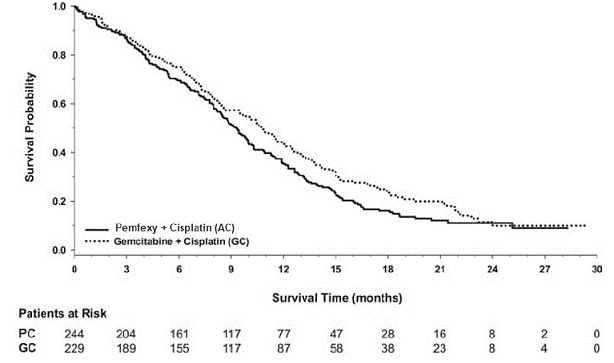 Kaplan-Meier
Curves for Overall Survival in Squamous NSCLC in Study JMDB - Illustration Kaplan-Meier
Curves for Overall Survival in Squamous NSCLC in Study JMDB - Illustration